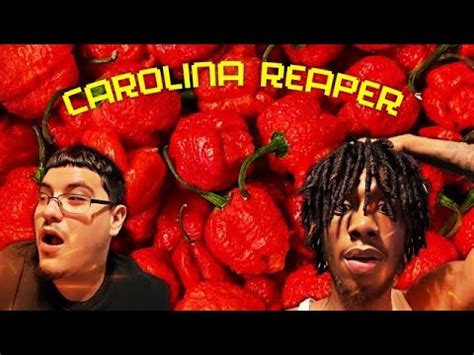 Eating A Carolina Reaper W Opmfabe Subscriber Special Youtube