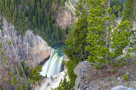 Fond Chutes Inférieures Dans Le Grand Canyon De Yellowstone Photo Et