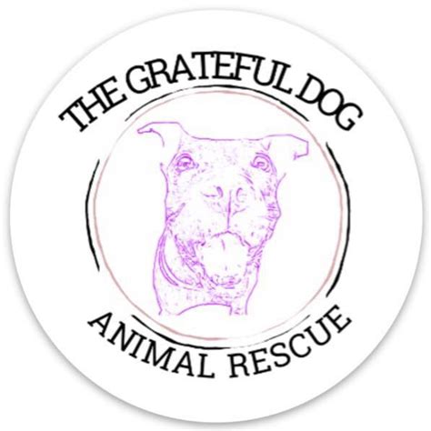 The Grateful Dog Animal Rescue | CUDDLY