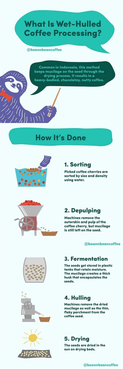 Coffee Processing Methods | Coffee infographic, Coffee infographic design, Coffee process