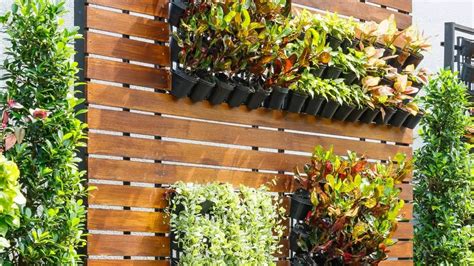 La Capital Tener Un Jardin Vertical En Tu Casa Ventajas Que Debes Hot