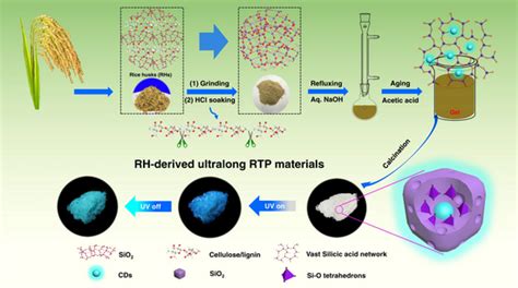 农业材料刘应亮教授团队在生物质基碳点室温磷光材料研究领域取得重要进展 研究动态 岭南现代农业科学与技术广东省实验室