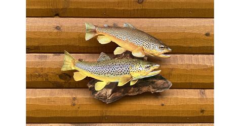 Reelistic Replicas Makes New Waves Going Beyond Traditional Taxidermy