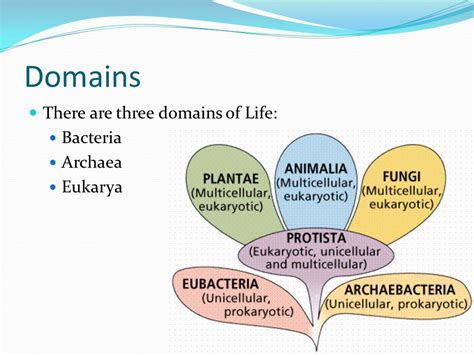 Archaebacteria Vs Eubacteria Venn Diagram