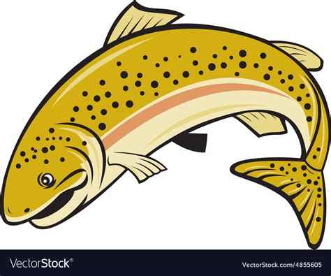 Rainbow trout jumping cartoon isolated Royalty Free Vector