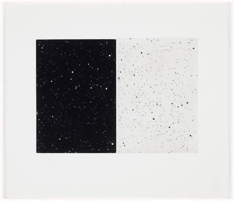 Black And White Diptych By Vija Celmins Dogstreets