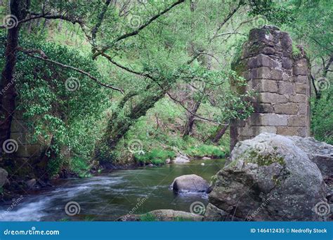 Vieux Pont De Roche Qui Croise Un Courant Au Milieu De La V G Tation