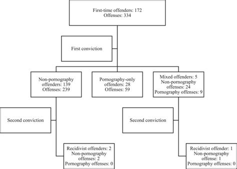 Characteristics Of Older Adult First Time Sex Offenders Insights From