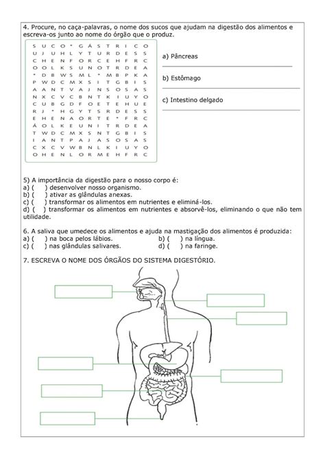 Sistema Digestório Atividade 5 Ano EDUKITA