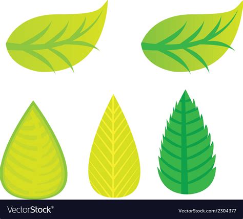 Green leaves Royalty Free Vector Image - VectorStock