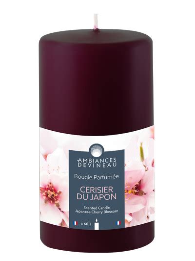 AMBIANCES DEVINEAU Bougie parfumée cylindrique Grenat 60h Cerisier du