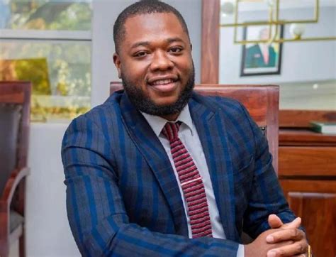 Outrage As Mnangagwa Appoints Son Nephew As Deputy Ministers