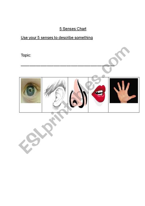 Five Senses Chart Printable