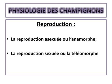 Introduction A La Mycologie Medicale Dr Benlaribi Imane Halima Ppt