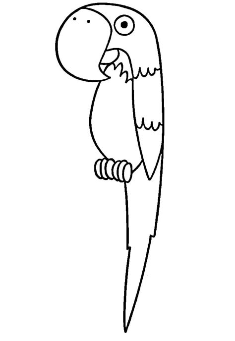 Coloriage Dessin De Perroquet Télécharger Et Imprimer Gratuit Sur