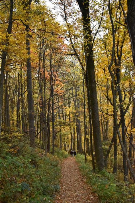 When Is The Best Time To Visit Shenandoah National Park World Wide