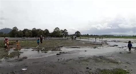 Bahagia Yang Sederhanasawah Kena Abu Vulkanik Gunung Kerinci Jadi