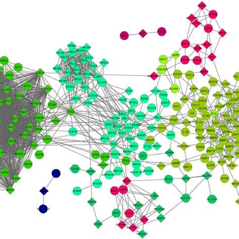 Proteinprotein Interaction Network Of Upregulated Genes And Linker