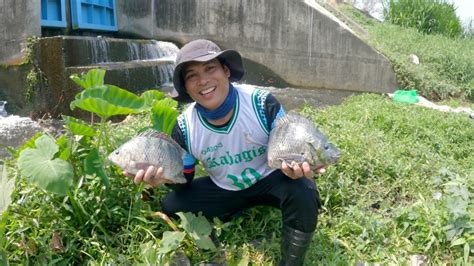 Bagsakan Ng Tubig Mula Sa Maliit Na Dam Mamamangha Ka Sa Laki Ng Mga