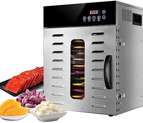 Buy Stainless Steel Food Dehydrator Machine Fruit And Vegetable Dryer With 12 Stainless Steel