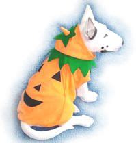 Pumpkin Dog Costume