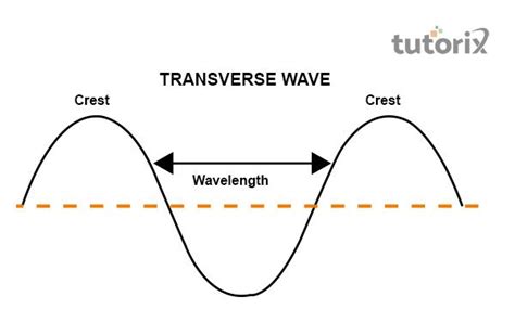 Transverse Waves