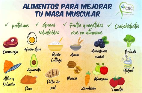 Alimentos Para Mejorar Tu Masa Muscular Alimentos Con Carbohidratos