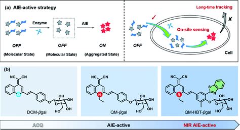 Enzyme Activatable Fluorescent Probes For Galactosidase From Design