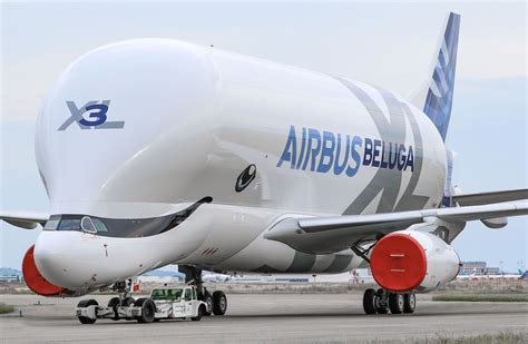 Airbus le 3e BelugaXL fait son Roll Out à Toulouse Blagnac ACTU