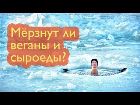 Мерзнут ли веганы? Мерзлявость на сыроедении. Как перестать мерзнуть и ...