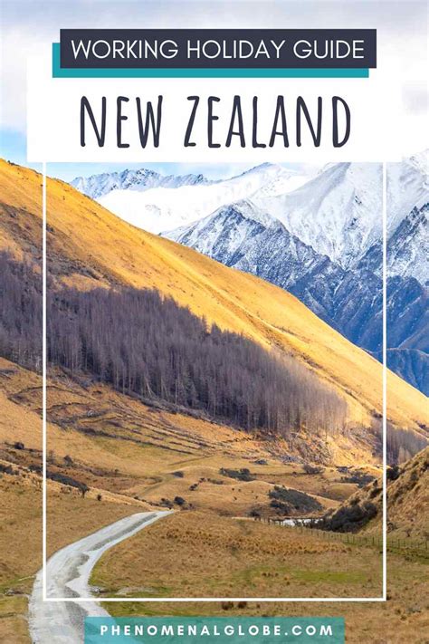 Working Holiday New Zealand Experience And Things To Know