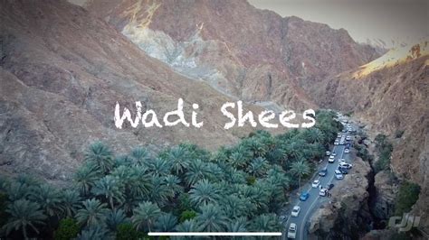 Wadi Shees YouTube