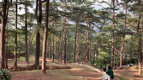 Camp John Hay Baguio City Jan 23 2019 Youtube