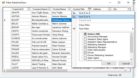 C Tutorial Advanced Filter Datagridview Foxlearn Youtube