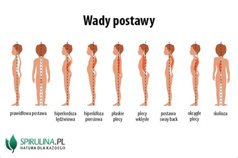 Wady Postawy Algi Spirulina I Chlorella