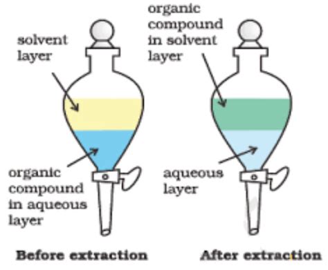 Purification Of Organic Compounds Chemistry Class 11 Organic