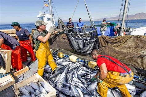 Sector Pesca Creci En Diciembre Alerta Econ Mica