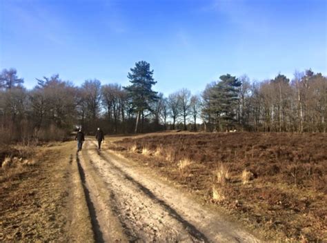 Culinair Wandelarrangement Westerbork Orvelte 10 Km Drenthe Abdij