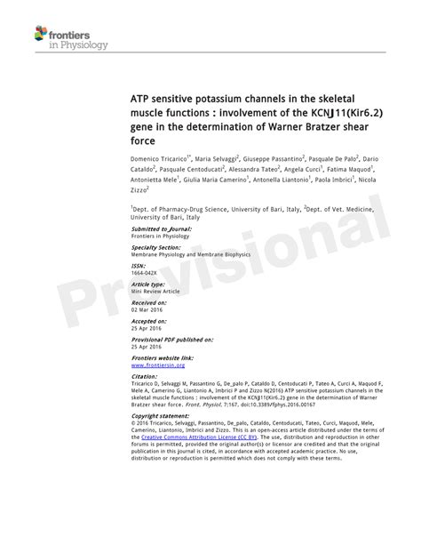 Pdf Atp Sensitive Potassium Channels In The Skeletal Muscle Function