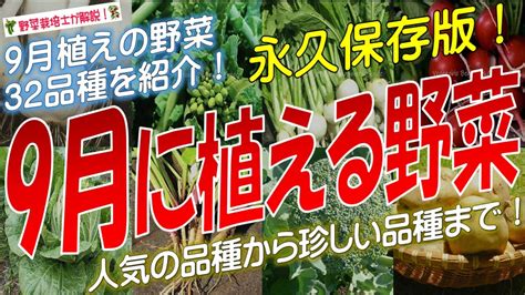 9月に植える野菜（32品種）永久保存版 Youtube