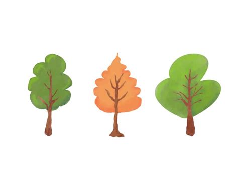 Nature tree Royalty Free Vector Image - VectorStock