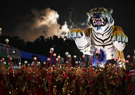 La Ricca Sbornia Della Festa Del Carnevale Di Rio