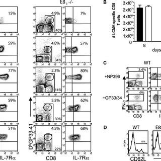 Normal Il R Expression Pattern And Numbers Of Lcmv Specific Cd T