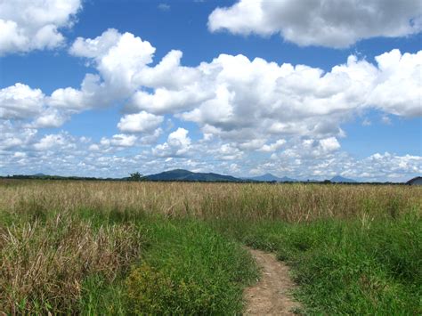 Free Images Landscape Nature Outdoor Horizon Marsh Wilderness