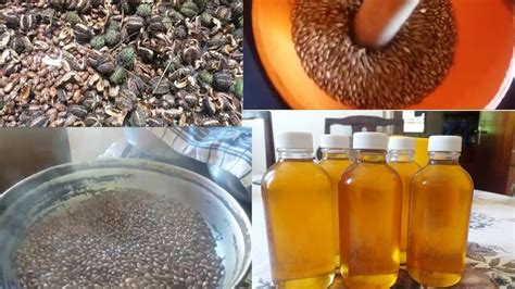 How To Make Castor Oil At Home YouTube