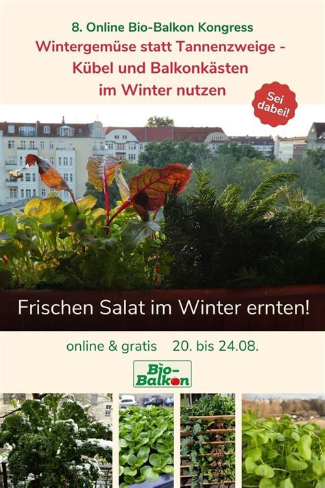 Wintergem Se Statt Tannenzweige K Bel Und Balkonk Sten Im Winter