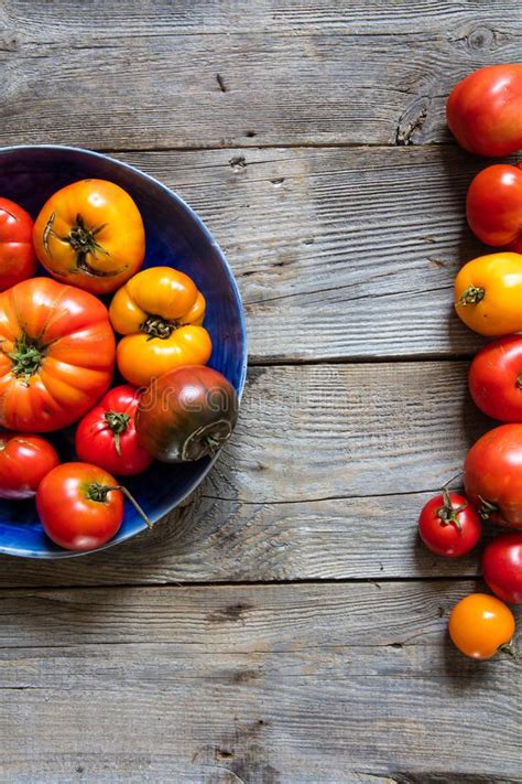 Zucche Organiche Variopinte Zucche E Pattypans Per Agricoltura