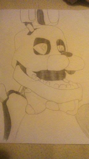 Bonnie Wiki 🐻fnaf Human🐻 ⭐amino⭐ Amino