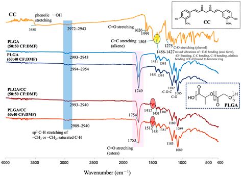 Polymers Free Full Text Bilayer Scaffolds Of Pllapclcab Ternary Blend Films And Curcumin