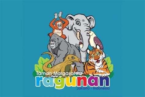 Harga Tiket Masuk Ragunan Jakarta 2023 Beserta Cara Membelinya Explore